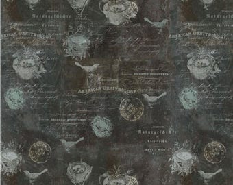 Harmony-Kollektion von Katie Pertiet für Clothworks – 0,5 Yard (ca. 46 cm) Stoff mit dunkelgrauem Digitaldruck von Vögeln und Schriftzug im Hintergrund