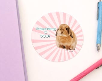 Somebunny Loves You Bunny Sticker – 4 Inch Waterproof Vinyl Rabbit Decal, Cute Bunny Gift for Rabbit Lovers, Pink Kawaii Sticker