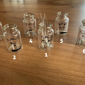 Peut inclure: Six petits bocaux en verre transparents, ornés de visages de chats dessinés en noir. Chaque bocal a un corps arrondi et un col étroit. Un bocal contient de l'herbe séchée. Les bocaux sont disposés sur une surface en bois.