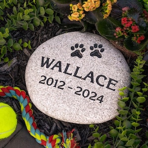 May include: A gray granite pet memorial stone with the inscription "WALLACE 2012-2024" and two paw prints. The stone is surrounded by green plants and flowers.