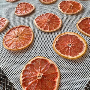 May include: Overhead shot of a tray with multiple dried grapefruit slices. The slices are a reddish-orange color with a yellow-brown rind. The grapefruit slices are arranged on a white, grid-patterned surface.