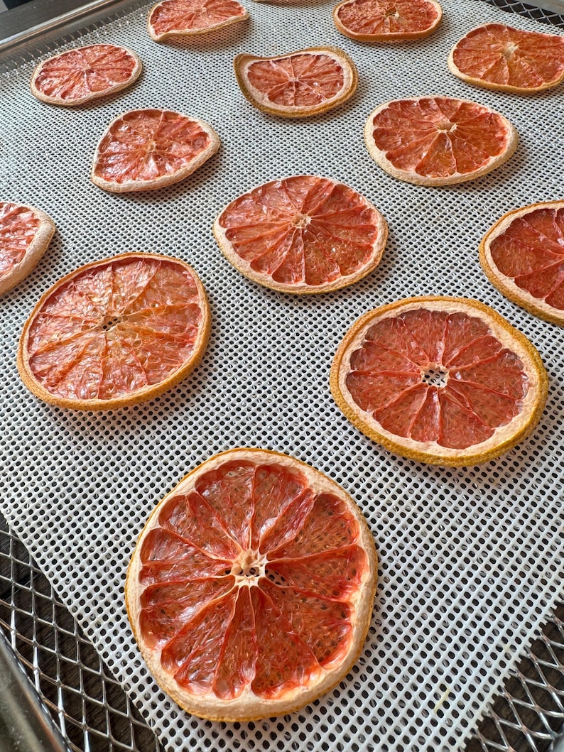 May include: Overhead shot of a tray with multiple dried grapefruit slices. The slices are a reddish-orange color with a yellow-brown rind. The grapefruit slices are arranged on a white, grid-patterned surface.