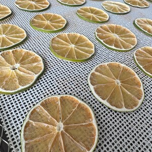 May include: Overhead shot of a tray filled with dried lime slices. The slices are circular, with a light brown interior and a green rind. The tray has a white, perforated surface.