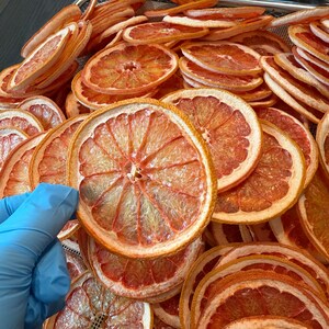 Dehydrated Grapefruit Whole Slices (25+ slices) image 5