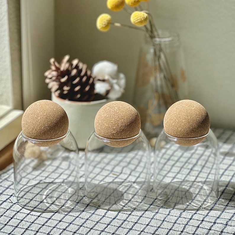 Borosilicate Glass Jar With Ball Cork Lid: Rustic Pantry Storage (17 Oz ...
