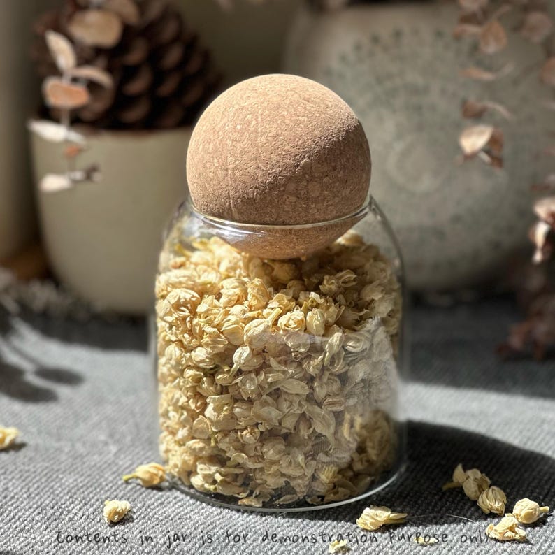 Borosilicate Glass Jar With Ball Cork Lid: Rustic Pantry Storage (17 Oz ...