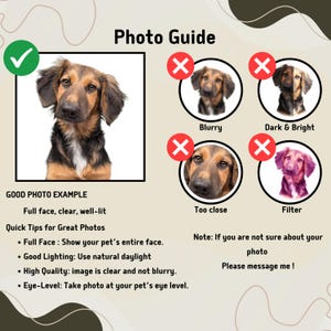 May include: A guide for taking good photos of pets for custom portraits. The guide shows a good example of a photo with a dog's full face, clear, and well-lit. It also shows examples of bad photos, including blurry, dark and bright, too close, and filtered photos.