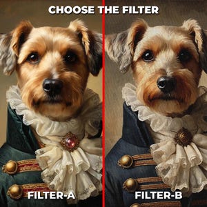May include: Two images of a dog wearing a green and blue jacket with a white lace collar and gold buttons. The text "CHOOSE THE FILTER" is at the top of the image. The text "FILTER-A" is at the bottom left of the image. The text "FILTER-B" is at the bottom right of the image.