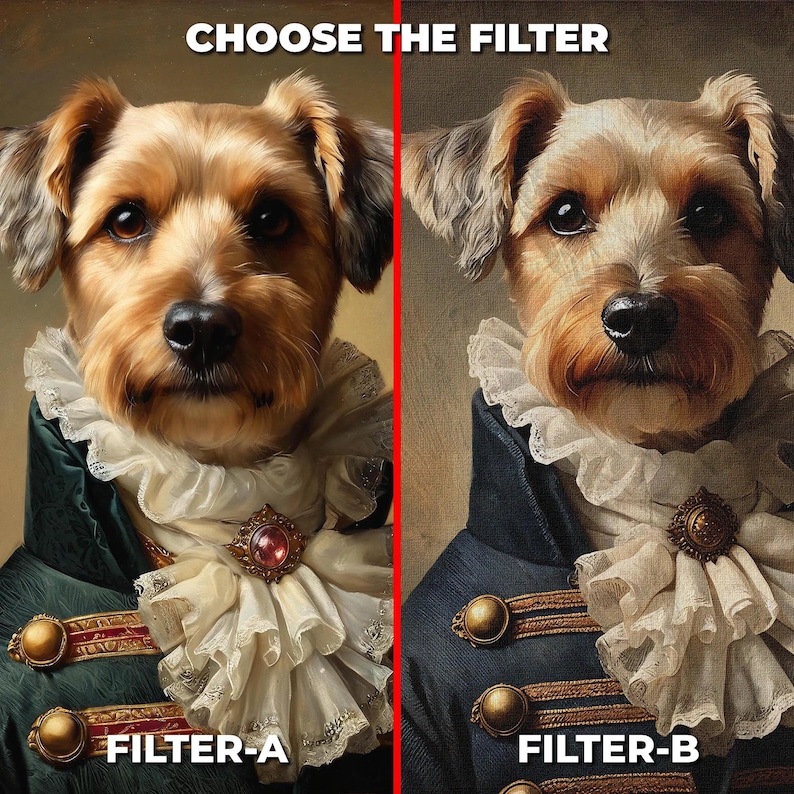 May include: Two images of a dog wearing a green and blue jacket with a white lace collar and gold buttons. The text "CHOOSE THE FILTER" is at the top of the image. The text "FILTER-A" is at the bottom left of the image. The text "FILTER-B" is at the bottom right of the image.
