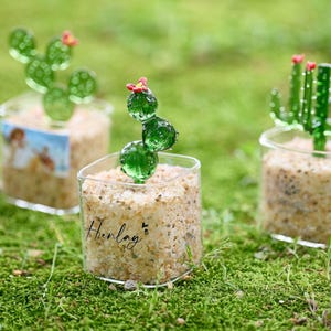 Handmade Glass Succulents,Glass Potted Plants, Fused Glass Succulents, Stained Glass, Cactus Lover,Artificial House Plant, Gifts for friends