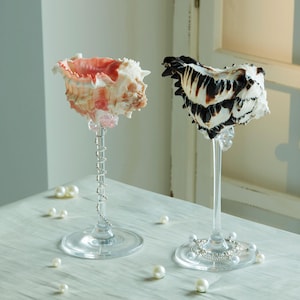 Puede incluir: Dos copas de vino decorativas con cuencos de conchas marinas. Una copa tiene una concha rosa y blanca, la otra tiene una concha negra y blanca. Ambas tienen tallos y bases transparentes, con perlas esparcidas alrededor.