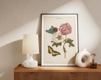 Vintage Butterfly Botanical Print: Entomology Wall Art