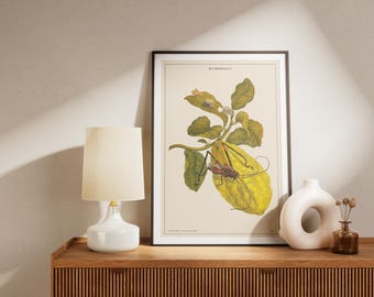 Insect Life Cycle Art Print: Vintage Botanical Entomology Wall Decor