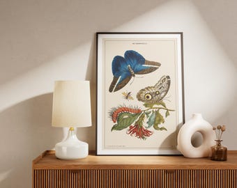 Insect Life Cycle Art Print: Vintage Entomology Botanical Wall Decor