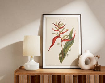 Vintage Insect Botanical Print: Nature's Metamorphosis Matte Poster