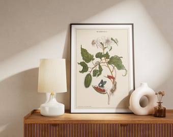 Insect Life Cycle Art Print: Vintage Botanical Entomology Wall Decor