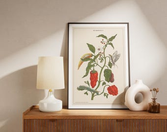 Vintage Botanical Print: Insect Life Cycle Entomology Wall Art
