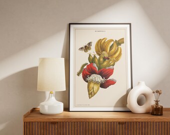 Vintage Insect Botanical Print: Nature's Metamorphosis Wall Art