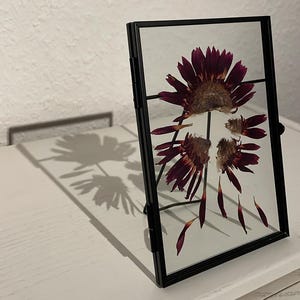 Pressed flower art, pressed flower frame, dried flower art