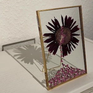 Pressed flower art, pressed flower frame, dried flower art