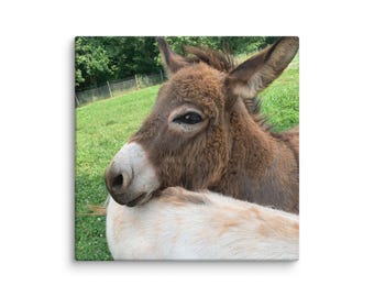 Donkey Don Canvas Print – Rustic Farm Wall Art | White Tree Farm Decor