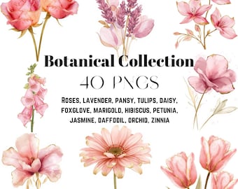 40 Watercolor Dusty Pink & Ivory Floral Clipart Pack, Dusty Rose Botanical, Watercolor Pink Rose, Dusty Pink Rose, Pink Flower Bouquets
