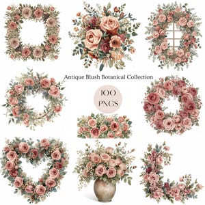 May include: A collection of antique blush botanical illustrations featuring roses and greenery. The images include wreaths, bouquets, and floral arrangements in various shapes, including a square, circle, and heart. The text "Antique Blush Botanical Collection" and "100 PNGs" are also present.