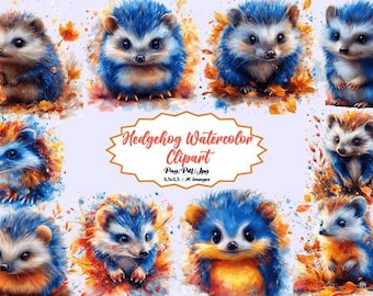 Watercolor Hedgehog Clipart – Animal Illustrations, 20-Piece Bundle (PNG, JPG, PDF)