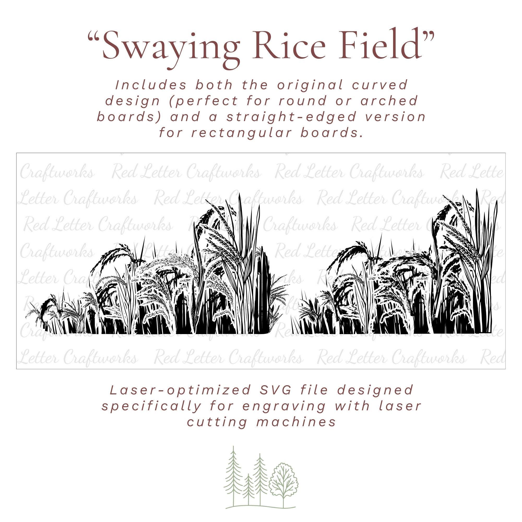 Rice Field SVG for Laser Engraving | Curved & Straight Corner Cutting ...