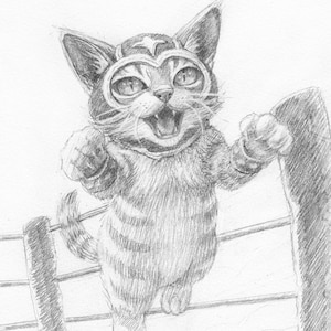 Luchadorable- Original Framed Graphite Drawing