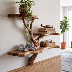 Drijvende plank boom - zwevende planken met levende rand - natuurlijke drijfhouttak boekenplank - boekenkast rustieke meubeldecor aan de muur muur