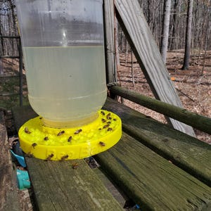 Bee Watering Station.  Bee Feeding Station.   Up to 1.5 gallon capacity.  Pollinator friendly hydration and food source.