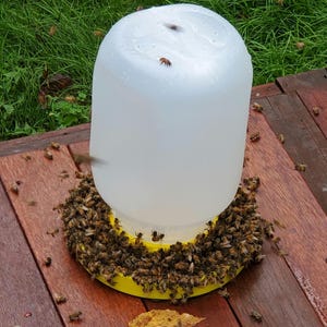 May include: A white plastic bee waterer with a yellow base is surrounded by numerous bees. The waterer sits on a wooden surface, with green grass visible in the background. The bees are clustered around the base.