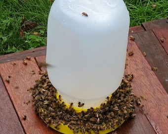 Bee Water & Syrup Dispenser: Pollinator Hydration Station, Prevents Drowning