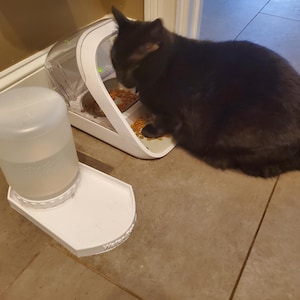 Auto Filling Cat Water Bowl with Dispensing Container - Auto Dispensing Watering Station