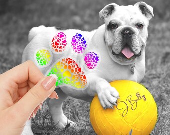 Clear Rainbow Paw Print Sticker – Colorful Vinyl Dog Paw Decal for Water Bottles, Journals, Tumblers & Pet Lovers