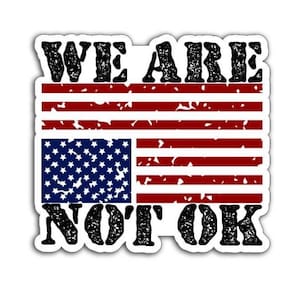 We Are Not OK Magnet, Decal, or Sticker Pack: Political Protest Art