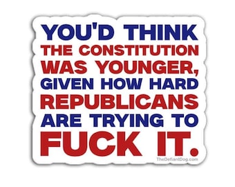 You’d Think the Constitution Was Younger Sticker Pack, Magnet, or Vinyl Decal Anti Trump Political Progressive Protest Gift