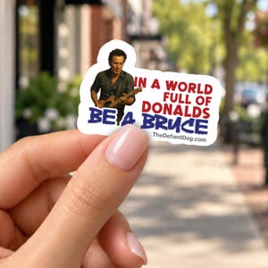 In a World Full of Donalds, Be a Bruce Springsteen Sticker Pack, Vinyl Decal, or Magnet | Anti-Trump Political Sticker | Pro-Democracy image 1