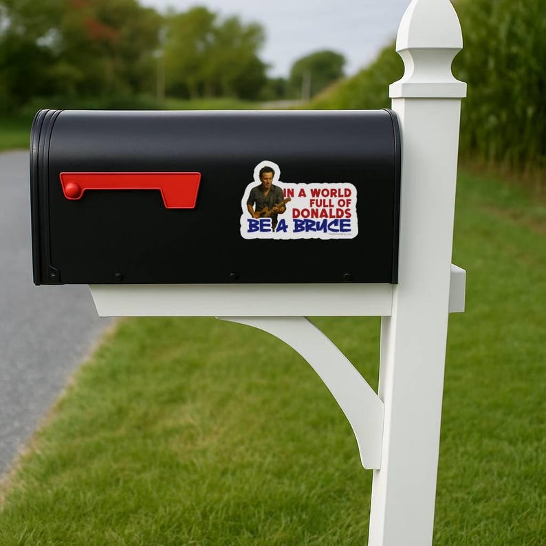In a World Full of Donalds, Be a Bruce Springsteen Sticker Pack, Vinyl ...