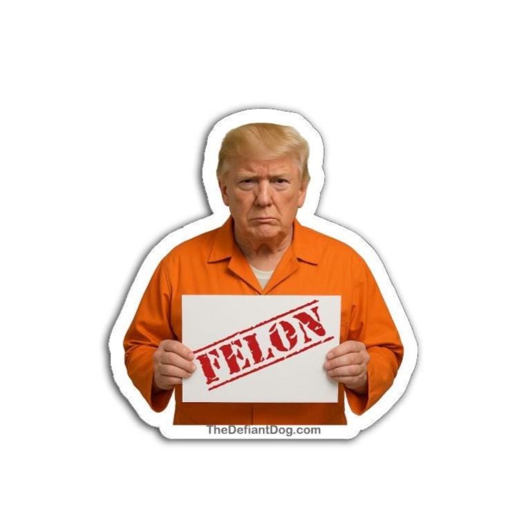 Trump Felon Sticker Pack, Magnet, or Vinyl Decal: Anti-trump Political ...