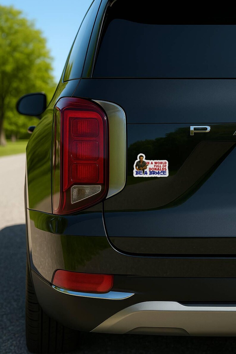 In a World Full of Donalds, Be a Bruce Springsteen Sticker Pack, Vinyl ...