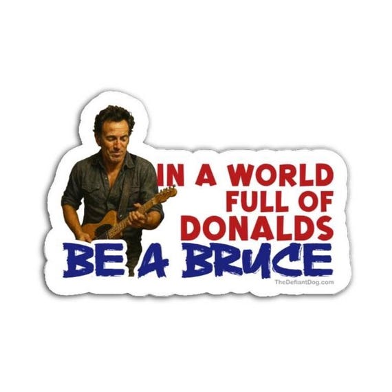 In a World Full of Donalds, Be a Bruce Springsteen Sticker Pack, Vinyl Decal, or Magnet | Anti-Trump Political Sticker | Pro-Democracy