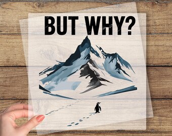 Sad Penguin Meme DTF Transfer, But Why Viral Print
