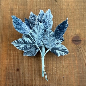 May include: A bundle of blue velvet leaves, tied together with a light blue string. The leaves have a textured appearance and are arranged in a bouquet. The background is a wooden surface.