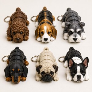 May include: A collection of six dog-shaped keychains. The keychains feature various breeds, including a poodle, beagle, schnauzer, dachshund, pug, and Boston terrier. Each dog is lying down, with a silver keychain ring attached.