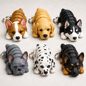 May include: Six dog-shaped keychains in various breeds, including a Corgi, Golden Retriever, and Dalmatian. Each keychain is lying down, with detailed features and a silver keyring attached. The dogs are in shades of brown, black, white, and gray.