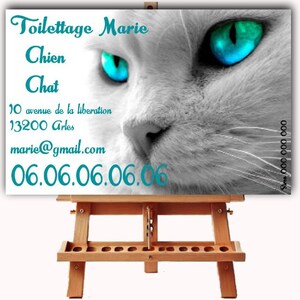 Origineel visitekaartje, dieren, oppas, trimsalon, dierenbedrijf, hond, kat, aanpasbaar en afdrukbaar met QR-code indien nodig