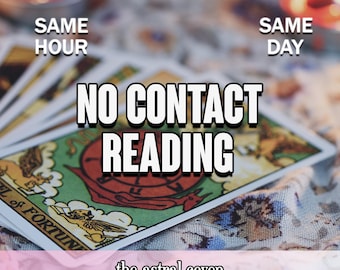 No Contact Tarot Insight: Same Hour Psychic Love Reading