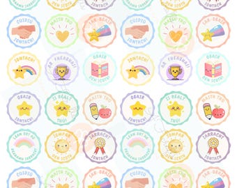 48 stickers motivants en irlandais : récompenses Gaeilge Classroom